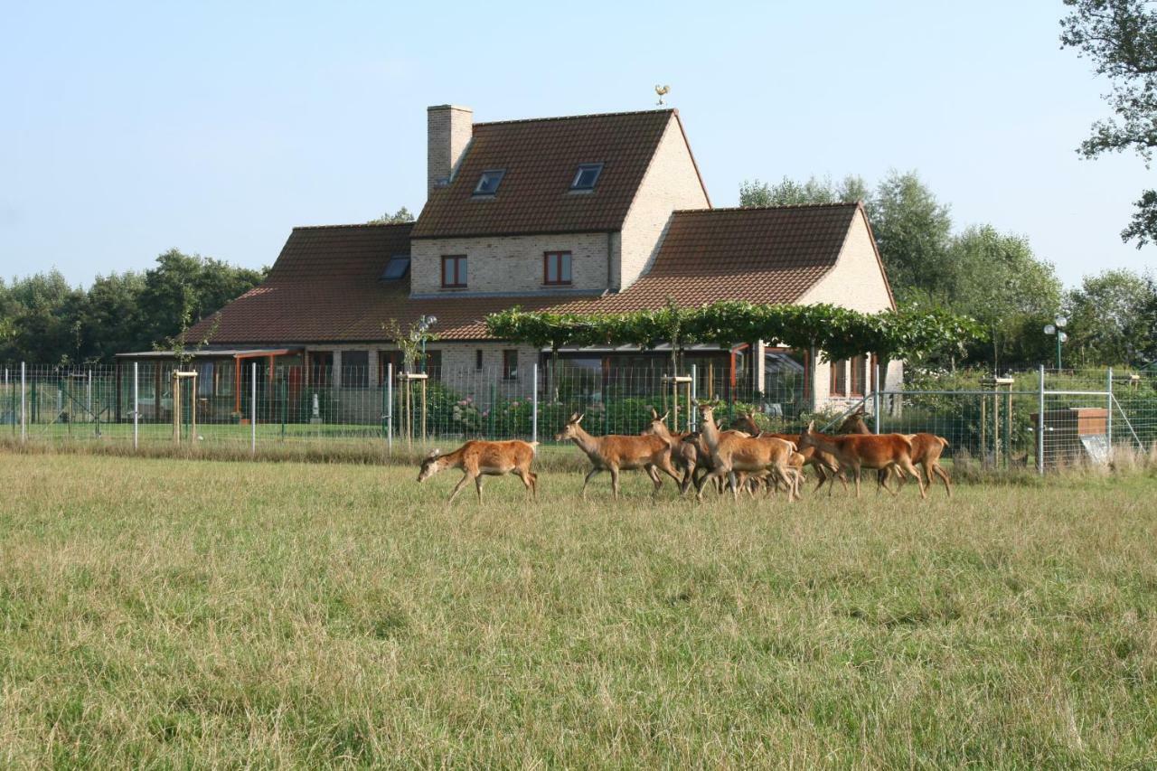 'T Leeg Huys Villa Lo-Reninge Exterior foto